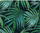 Mousepad Natec PALM TREE, 220x180mm, 2mm, shumëngjyrësh