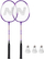 Set badminton Nils NRZ2053, 2 raketa, 3 flutura, me çantë