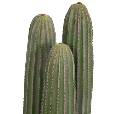 Bimë dekorative sintetike HM4743, kaktus me vazo 62cm, diametër 16cm, jeshile