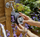 Kontroll vaditjeje Gardena Flex 01890-20, programim automatik, me bateri, gri e zezë