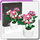Lodra për ndërtim Stator Pink Hydrangea In A Pot, 342 copa, në vazo, rozë