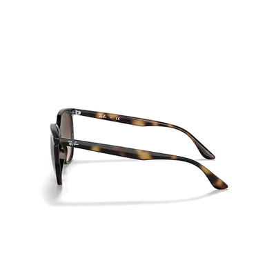 Ray-Ban RB4378 710/13 54
