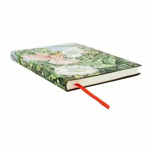 Pb Fletore 176Fl Me Vija Midi Bindweed Fairy