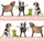 Set nënfilxhanësh Teka Mug Mat C174 Country Dogs, coaster dhe trivet, shumëngjyrësh