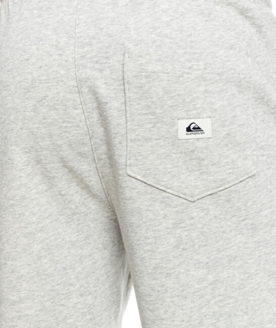 Shortse Quicksilver Essentials Regular Fit, tё hirta