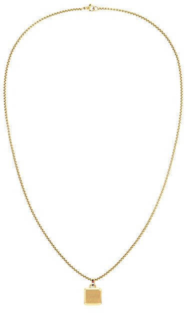 Qafore për meshkuj Tommy Hilfiger 2790544, 50 cm, e artë