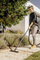 Fshesë me korent Karcher WD 3 S V-17/4/20, 1000W, depozitë 17L, inox