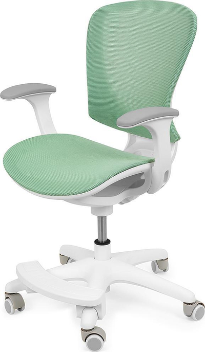 Karrige për kalamaj Spacetronik SPC-XD-02J, ergonomike, rrotulluese, jeshile me të bardhë