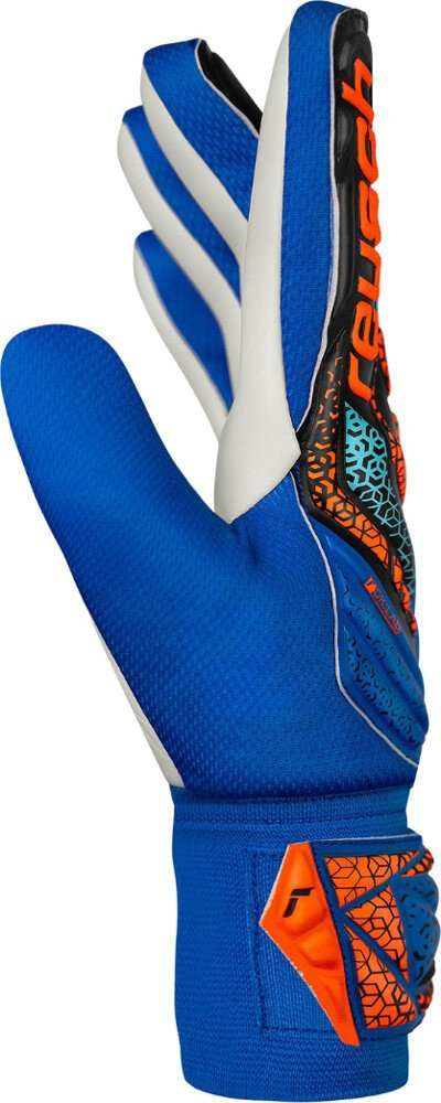 Doreza portieri Reusch Attrakt Starter Solid Jr 5572514 4467, për fëmijë, lateks sintetik, blu