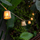 Dritë dekor varëse Newgarden Okinawa, 10 llamba LED, IP44, 24V