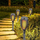 Lampë diellore TORCH Solar Lamp Dancing Flames, 12 LED SMD, set 12 copë, gri
