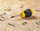Kaçavidë e shkurtër Stanley STHT16154-0 Cushion Grip, Phillips PH1, 45mm, verdh e zez