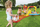 Pishinë për fëmijë Bestway Inflatable 435x213cm