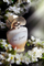 Парфем Maison Asrar Dear Jasmine, Eau de Parfum, 100 ml