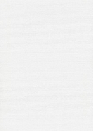 Karton dekorativ Business Cardboard White Grain W06, format A4, 246g, i bardhë