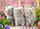 Puzzle Castorland, 260 elemente