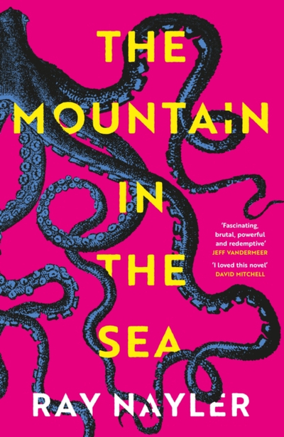 Mountain In The Sea - Ray Nayler