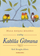 Книга Мала книга за љубовта според Кахлил Џибран, поезија и фрагменти, инспиративна литература, многуобојна