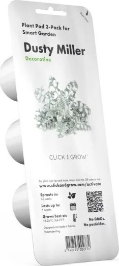 Refill kopshti inteligjent Click and Grow Dusty Miller, set 3 kapsula, dekorativ, gri argjendtë