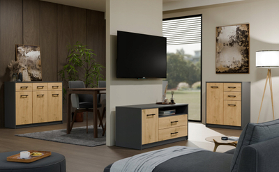 Kabinet TV SIMPLO 1D2S, 2 sirtarë, 1 derë, antracit me dekor oak artisan
