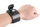 Mbajtës dorë PGYTECH për DJI Osmo Pocket dhe kamera sportive (P-18C-024)