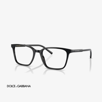 Dolce & Gabbana DG3365 501 54