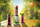 Blender Concept SM3365 300W, i bardhë/gjelbër