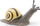 Figurinë Papo Grove Snail, kërmilli i pyllit, plastik, me shumë ngjyra