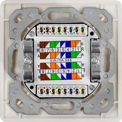Prizë murale rrjeti LogiLink Cat.6A, 2x RJ45 STP, vertikale, e bardhë