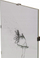 Kornizë muri Focus Clips Frame, A4 21x29.7 cm, xham, transparente