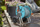 Karrocë zorre uji Gardena AquaRoll S 18502-20, 20 m, me rrota, blu