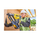 Pistoletë gozhdimi DeWalt DCN930, 18V XR, brushless, e verdhë