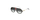 Syze dielli Carrera 1020/S Y119O