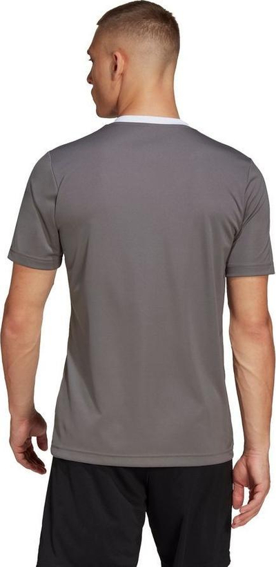 Fanellë stervitje adidas Entrada 22 M HE1574, me teknologji Aeroready, gri