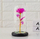 Trëndafil dekorativ AG776A Eternal Rose, kupolë qelqi, LED RGB, rozë