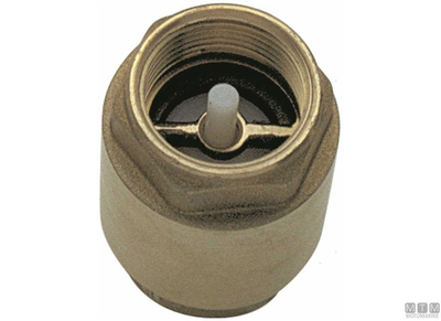 Valvul njëkahëshe bronzi BSP, flap plastik, 1"