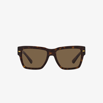 Dolce & Gabbana DG4431 502/73 55