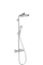Set dushi Hansgrohe Crometta S, metalik