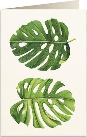 Картичка Tassotti Monstera B6, со плик, хартија 200 g/m2, повеќе боја