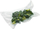 Qese vakumi Stollar the VacuumFresh Bags SAT55, 15 x 25 cm, 50 copë, transparente