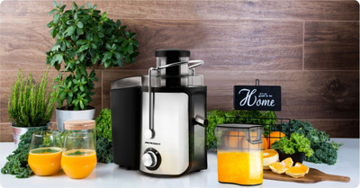 Shtrydhëse frutash Berdsen BD-750, 600W, 0.5L, e zezë