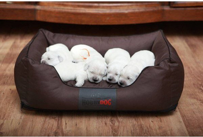 Shtrat për qen Hobbydog Bed Comfort XXL, material kordura, kafe e errët