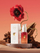 Дневен крем за лице Yope Immunity Glow Chaga Poppy, хидратантен, 50 ml