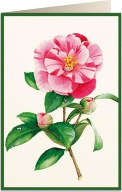 Kartolinë Tassotti B6 Camellia, me zarf, me lule