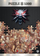 Puzzle Good Loot The Witcher 3 Wild Hunt Birthday, 1000 copa, 68 x 48 cm, me shumë ngjyra