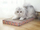Dërrasë gërvishtëse për mace SportPet Cardboard Scratcher, karton, 45.7x25.4x3.8 cm, shumëngjyrëshe