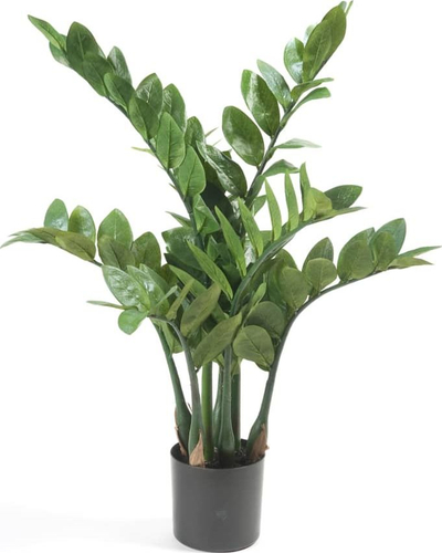 Bimë artificiale Emerald Zamioculcas, 70 cm, vazo e zezë, jeshile