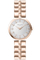 Ore Pierre Cardin CF.0703.SC.RG
