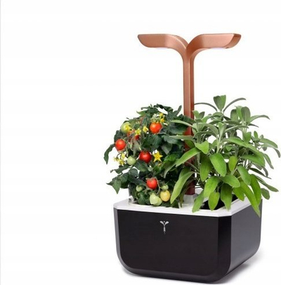 Vazo inteligjente për bimë Véritable Exky Smart, me ndriçim automatik, kapacitet 2 Lingots, black copper