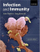 Infection And Immunity - John Playfair